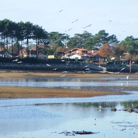 米尼赞海滩Les Coquillages公寓 外观 照片
